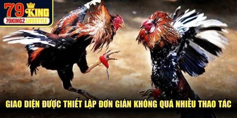 Giao diện được thiết lập đơn giản không quá nhiều thao tác phức tạp