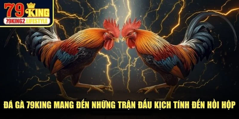 Đá gà 79KING mang đến những trận đấu kịch tính đến hồi hộp